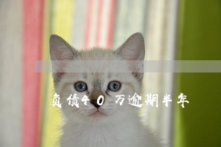 负债40万逾期半年 负债40万逾期半年