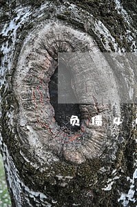 负债40万逾期要还利息多少 负债40万逾期要还利息多少