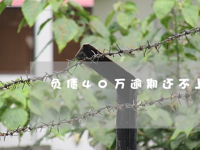 负债40万逾期还不上怎么办 负债40万逾期还不上怎么办