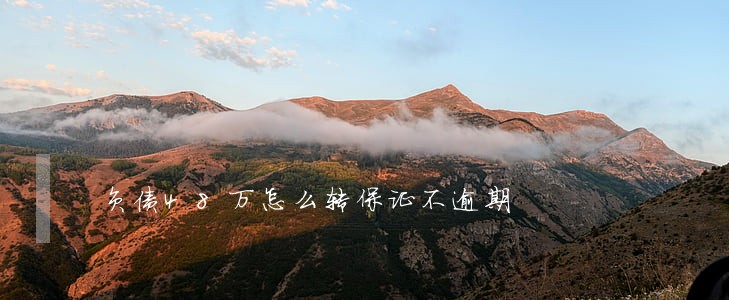 负债48万怎么转保证不逾期 负债48万怎么转保证不逾期