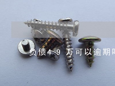 负债49万可以逾期吗 负债49万可以逾期吗