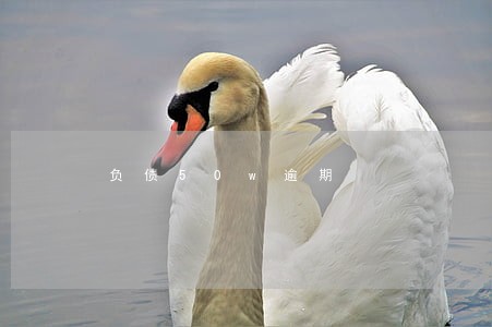 负债50w逾期 负债50w逾期