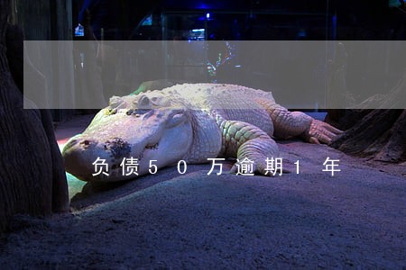 负债50万逾期1年 负债50万逾期1年