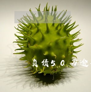负债50万逾期一年 负债50万逾期一年