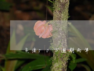 负债50万逾期两年