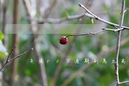 负债50万逾期利息太高怎么办 负债50万逾期利息太高怎么办