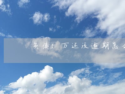 负债5万还没逾期怎么协商 负债5万还没逾期怎么协商