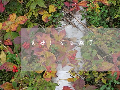 负债5万逾期了 负债5万逾期了