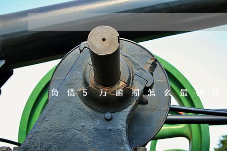 负债5万逾期怎么最快还清 负债5万逾期怎么最快还清