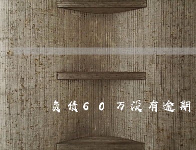 负债60万没有逾期 负债60万没有逾期