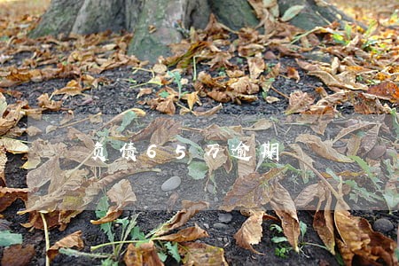 负债65万逾期 负债65万逾期