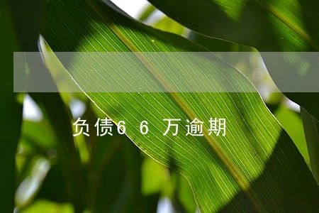 负债66万逾期