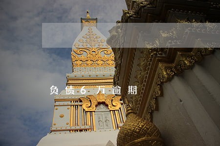 负债6万逾期 负债6万逾期