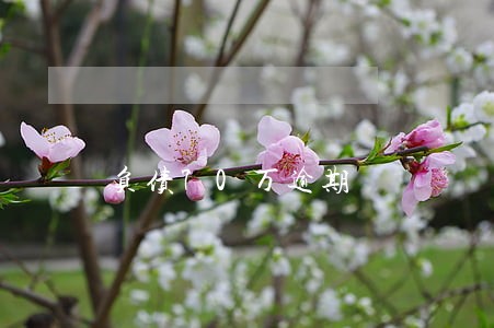 负债70万逾期 负债70万逾期