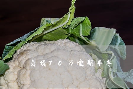 负债70万逾期半年 负债70万逾期半年