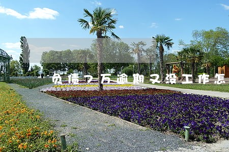 负债7万逾期又没工作怎么办 负债7万逾期又没工作怎么办