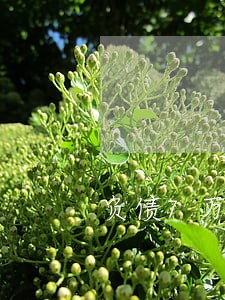 负债7万面临逾期 负债7万面临逾期