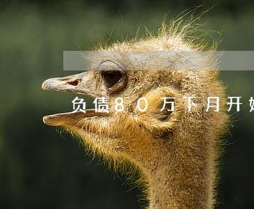 负债80万下月开始逾期 负债80万下月开始逾期