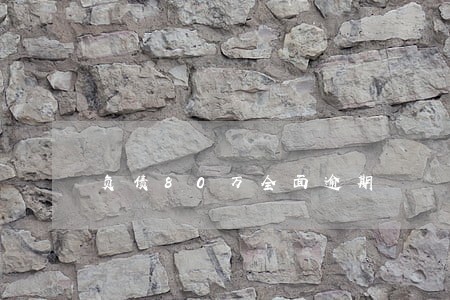 负债80万全面逾期 负债80万全面逾期