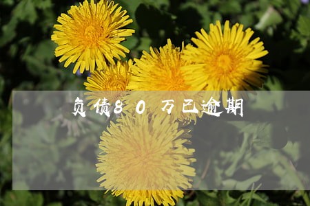 负债80万已逾期 负债80万已逾期