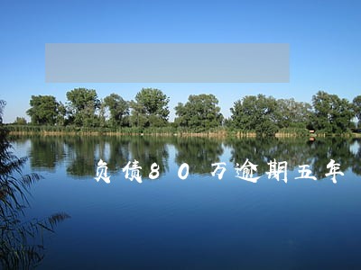 负债80万逾期五年 负债80万逾期五年