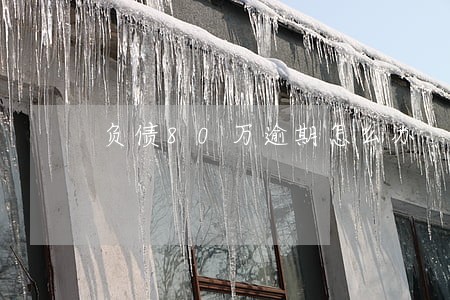 负债80万逾期怎么办 负债80万逾期怎么办