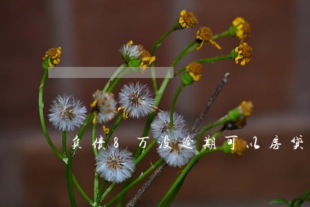 负债8万没逾期可以房贷吗 负债8万没逾期可以房贷吗