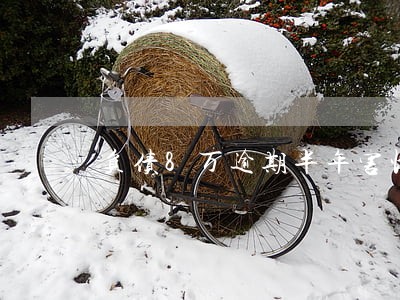 负债8万逾期半年害怕吗 负债8万逾期半年害怕吗