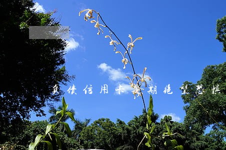 负债信用卡逾期绝望恐惧痛苦无助 负债信用卡逾期绝望恐惧痛苦无助
