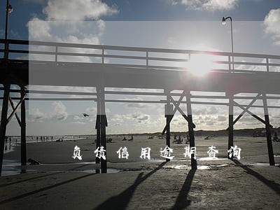 负债信用逾期查询