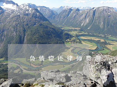 负债偿还律师费用 负债偿还律师费用