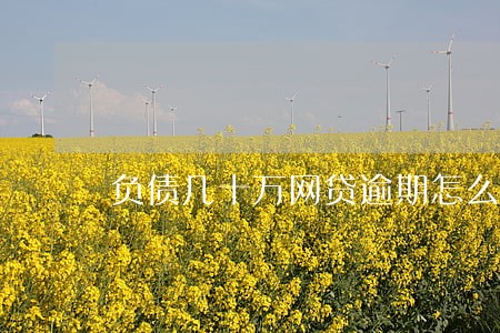 负债几十万网贷逾期怎么办 负债几十万网贷逾期怎么办
