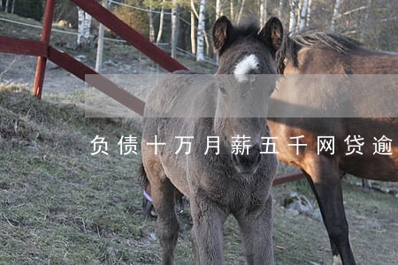 负债十万月薪五千网贷逾期 负债十万月薪五千网贷逾期