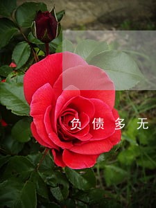 负债多无逾期可以银行贷款么 负债多无逾期可以银行贷款么