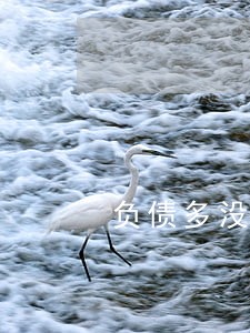 负债多没逾期的可以办信用卡吗 负债多没逾期的可以办信用卡吗