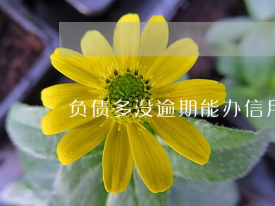 负债多没逾期能办信用卡吗 负债多没逾期能办信用卡吗