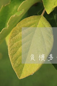 负债多的时候怎么处理债务律师 负债多的时候怎么处理债务律师