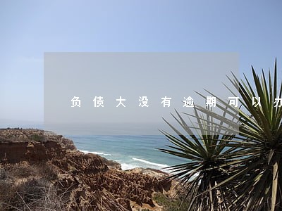负债大没有逾期可以办信用卡吗 负债大没有逾期可以办信用卡吗