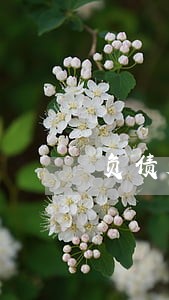 负债大没有逾期可以贷款吗 负债大没有逾期可以贷款吗