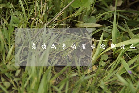 负债太多信用卡逾期什么后果 负债太多信用卡逾期什么后果
