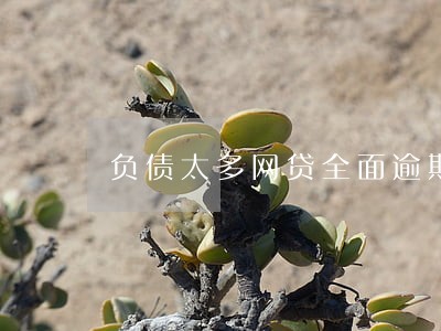 负债太多网贷全面逾期 负债太多网贷全面逾期
