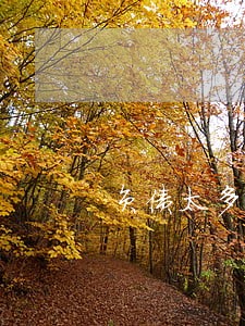 负债太多逾期太多信用不好 负债太多逾期太多信用不好