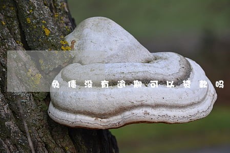 负债没有逾期可以贷款吗 负债没有逾期可以贷款吗