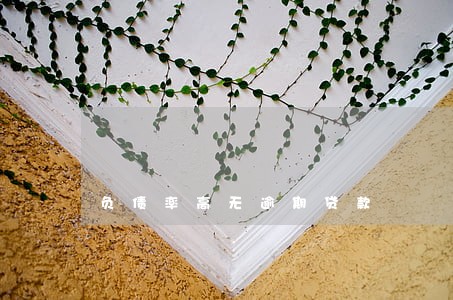 负债率高无逾期贷款 负债率高无逾期贷款