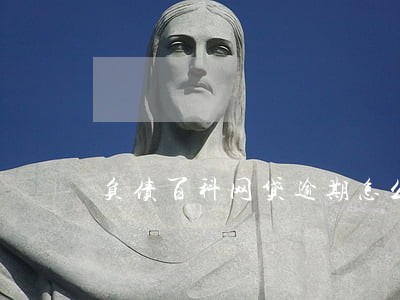 负债百科网贷逾期怎么办 负债百科网贷逾期怎么办