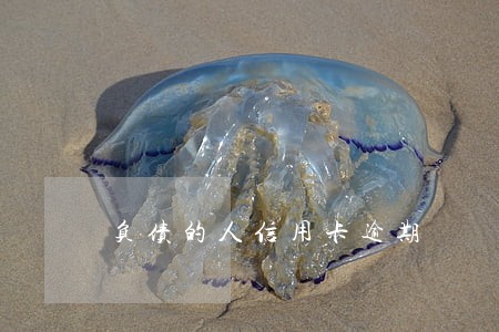 负债的人信用卡逾期 负债的人信用卡逾期
