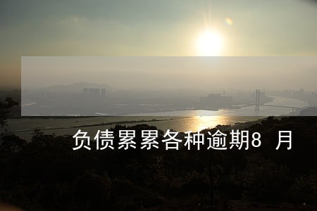 负债累累各种逾期8月 负债累累各种逾期8月