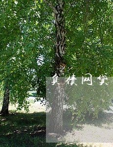 负债网贷快要逾期咋办 负债网贷快要逾期咋办