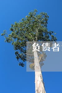 负债者逾期5年 负债者逾期5年