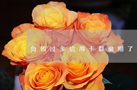 负债过多信用卡都逾期了 负债过多信用卡都逾期了
